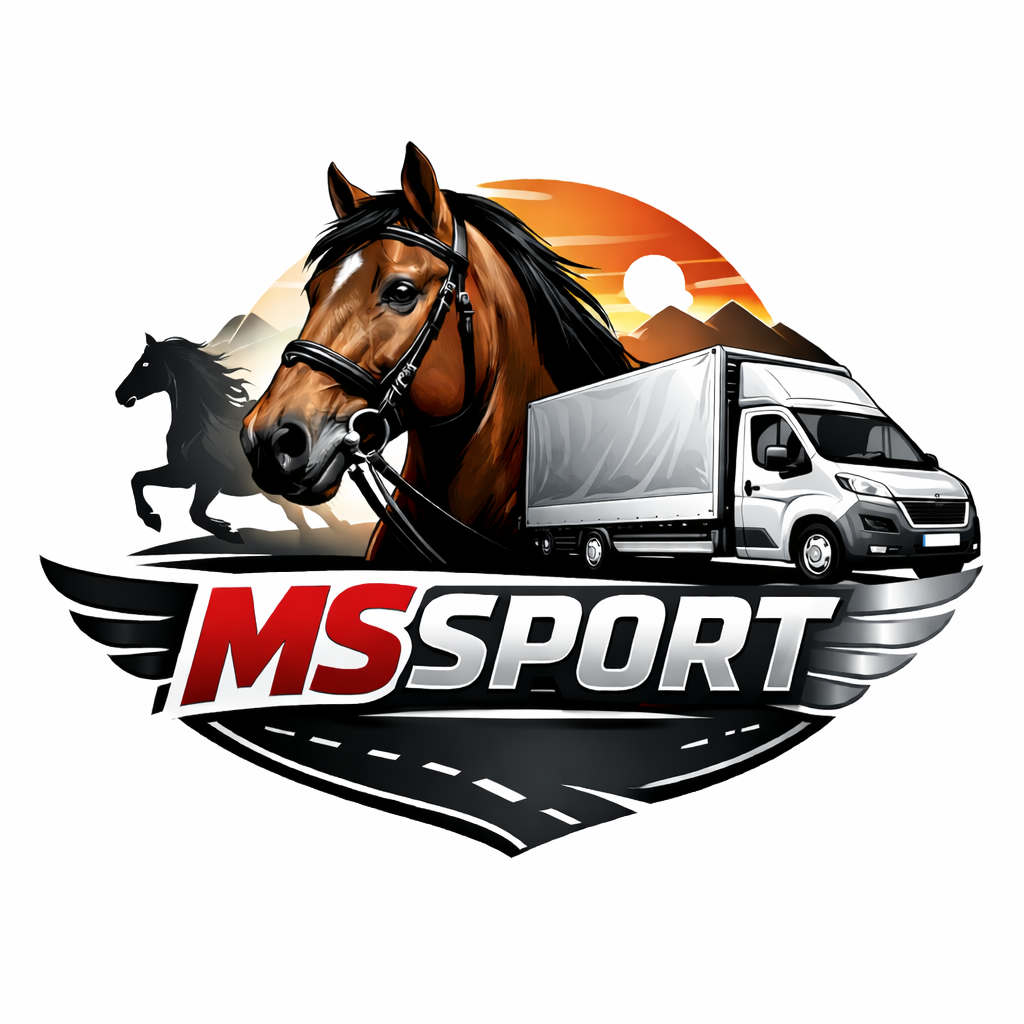 MSSPORT Logo
